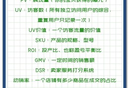电商运营平台技术参数(电子商务平台运营与技术规范)