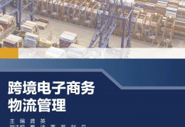 跨境电商的数据库技术(跨境电商数据化运营流程)